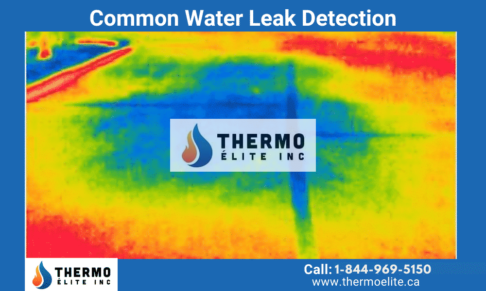 Common Water Leak Detection Questions and Answers