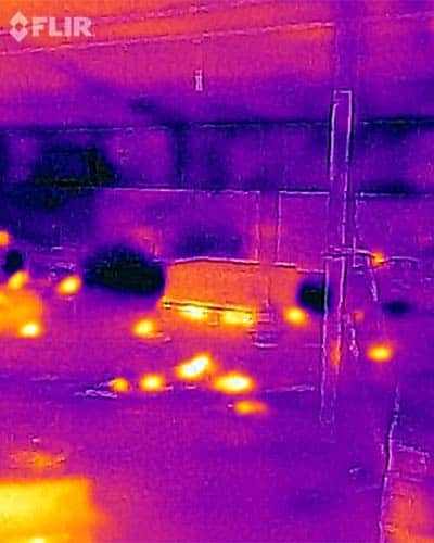 Pest Thermographic Detection