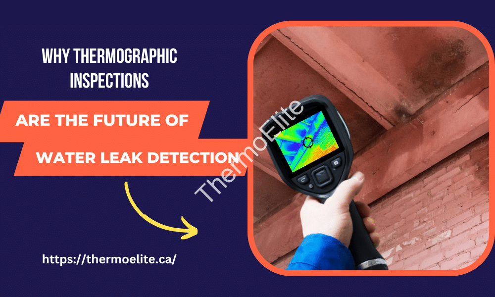 Why Thermographic Inspections Are the Future of Water Leak Detection