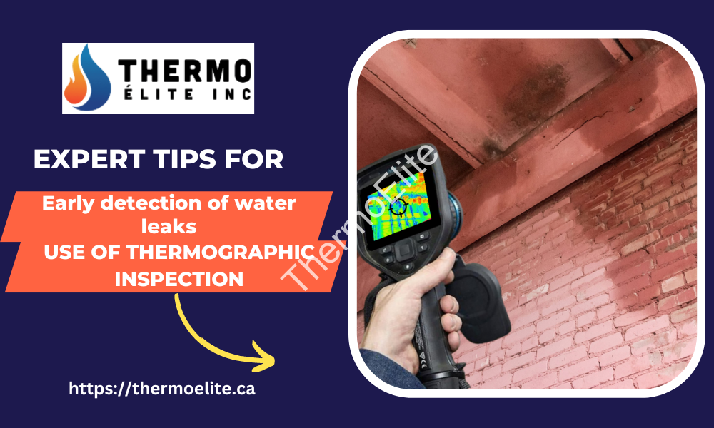 Expert Tips for Early Water Leak Detection Using Thermographic Inspection